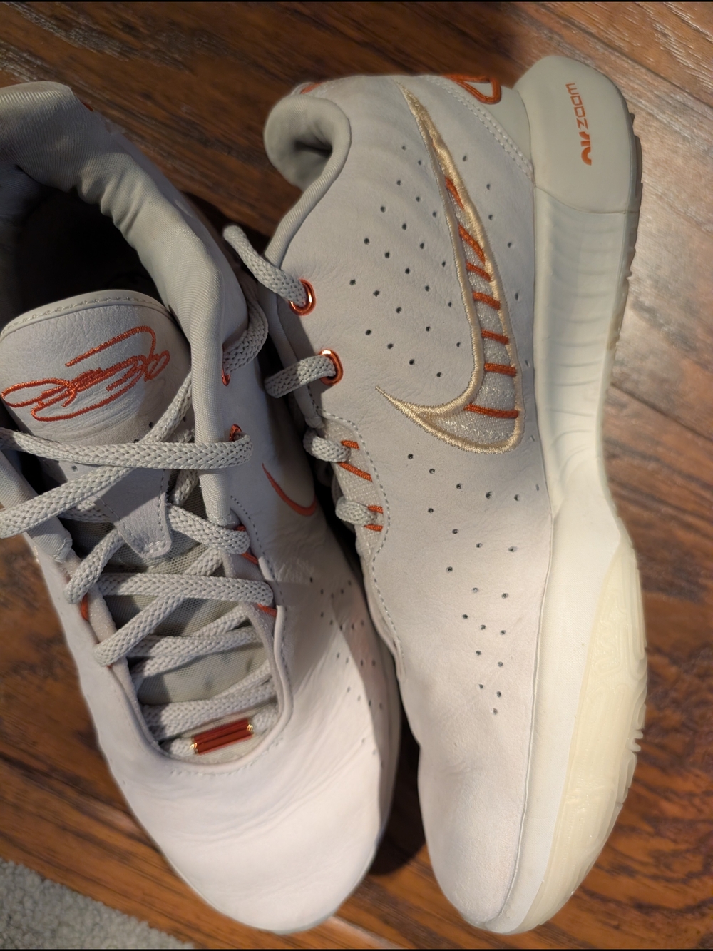 Size 9.5 - Nike LeBron 21 Akoya - FV2345-001